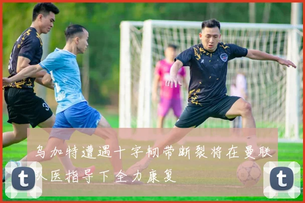 乌加特遭遇十字韧带断裂将在曼联队医指导下全力康复