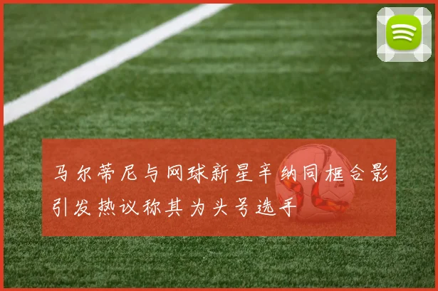 马尔蒂尼与网球新星辛纳同框合影引发热议称其为头号选手
