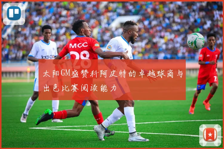 太阳GM盛赞科阿皮特的卓越球商与出色比赛阅读能力