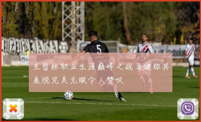 王哲林职业生涯巅峰之战马健称其表现完美无瑕令人赞叹
